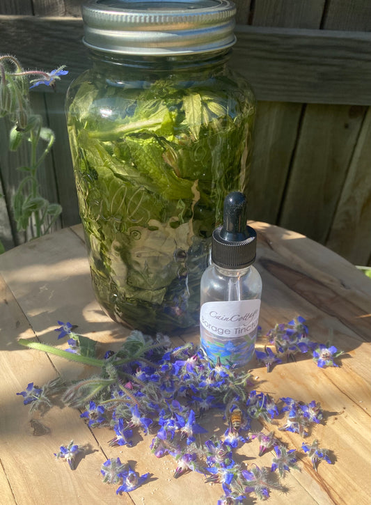 Borage Tincture